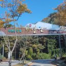 서운산 자연휴양림 자동차야영장 네이버블로그