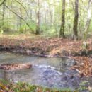 지구촌학원 이미지