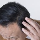 참한약 이미지