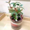 화양초교병설유치원 | 고덕 평택 병설유치원 테라리움 만들기/동탄 수원 식목일 원예체험 수업