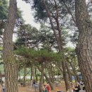 천지 타운 펜션 | [춘천 여행] 춘천 가볼 만한 곳(소울로스터리, 김유정 레일바이크, 서상스테이, 삼악산 호수 케이블카...