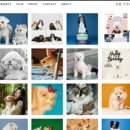 사진관.좋다 이미지