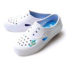 모닝글로리 이미지