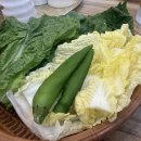전주달콤댁 | [수서역 맛집] SRT 타기 전후 필수 코스! 쌈밥 찐맛집 '전주집' 제육정식 내돈내산 후기