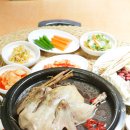 강변생오리 이미지