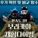 보라카이 스킨스쿠버 체험다이빙 물 무서워도 편하게 들어간 블루핀 후기