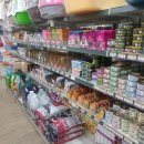 개밥주는고양이 이미지