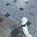 고읍도서관 화장실 | [주간일상]10/2~10/8 / 3일만일하면3일쉬기 / 술에 미친 술치광이 / 지영띠생파 / 포스팅 못한 아보고가...