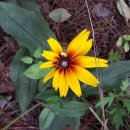 강천체육공원 이미지