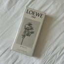 바투엣 | 갑자기 베트남 여행 1일차