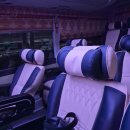 사주체육관 | 메리 크리스마스! 십이월 사주 일상🎅