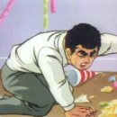 팡팡애견 이미지