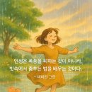 미라클그린 이미지