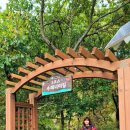 치악산둘레길 3코스 수레너미길 이미지