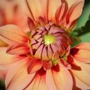 광운세탁소 이미지