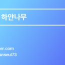 아늑한가 서울한옥 스테이 풀빌라 스파펜션 이미지