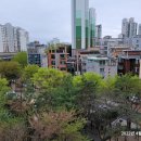 나철한의원 이미지