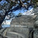 돈돈가든 이미지