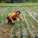 다해농장 이미지