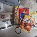 대한민국교육봉사단 씨드스쿨 T(멘토) 활동 후기