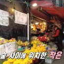 행복을파는꽃집
