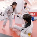 하바스MMA 압구정 이미지