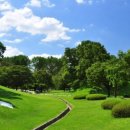 백제고분로7길 이미지