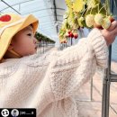 재아농장 | 부농딸기 평일 팜피크닉