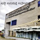 아라 | [아이랑] 사천 아라마루 아쿠아리움 내돈내산후기❤️