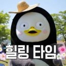 요거바라 이미지