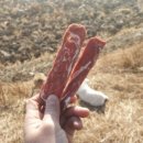 꼬두람이 이미지