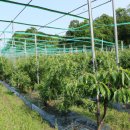 거제시농업개발원 | 한국 농업의 미래를 엿본 거제시농업개발원 방문 후기