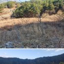 봉화공인중개사사무소 Daum카페