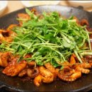 일산쭈꾸미