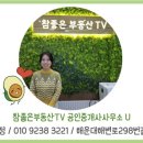 일광자이부동산공인중개사사무소 이미지
