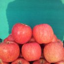 원택농장 이미지