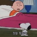 티엔티푸드(주) 동대문우체국점 | 나 왜이렇게 열심히 사는 거 같지?(내가 원한 적X)