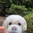 호키소프트 이미지