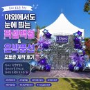 백월 | 축제 포토존 추천｜야외에서도 눈에 띄는 픽셀백월 & 은박풍선 포토존 제작 후기