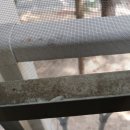 수원-0864 이미지