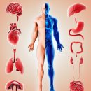 팔색체한의원 이미지