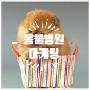 위너동물병원 이미지