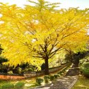 함안향교 이미지