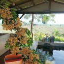 호코농장 이미지