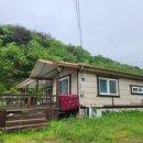 땅콩 게임장 이미지