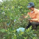 이영철농장 이미지