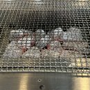 측백장어 이미지