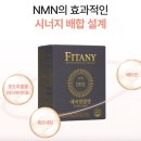 EVER FIT | 저속노화 피부를 위한 피타니에버엔엠엔 NMN