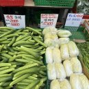 과일야채불티나