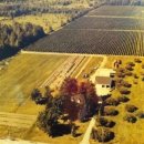 하청농장 이미지